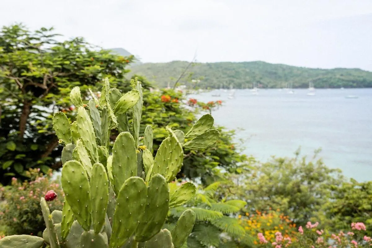 Turtle Rock 7 Chambres Les Anses-d'Arlets Martinique